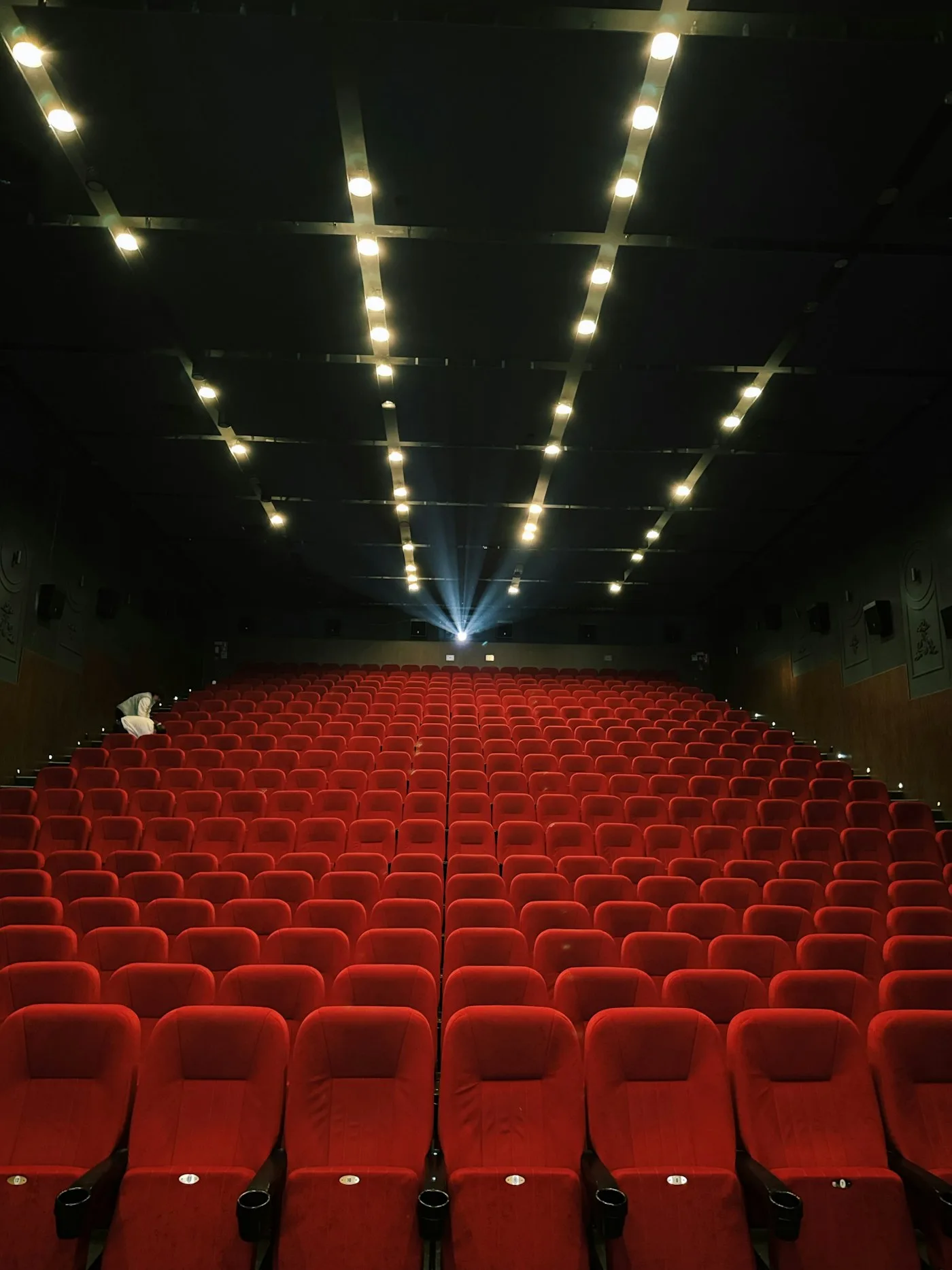 Red seats in a cinema