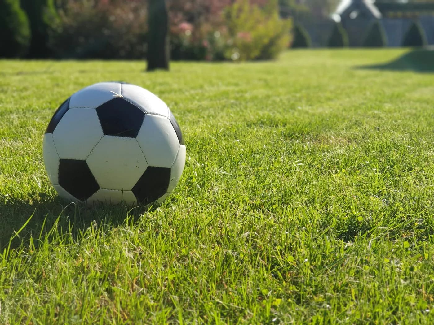 A football on a sunny pitch